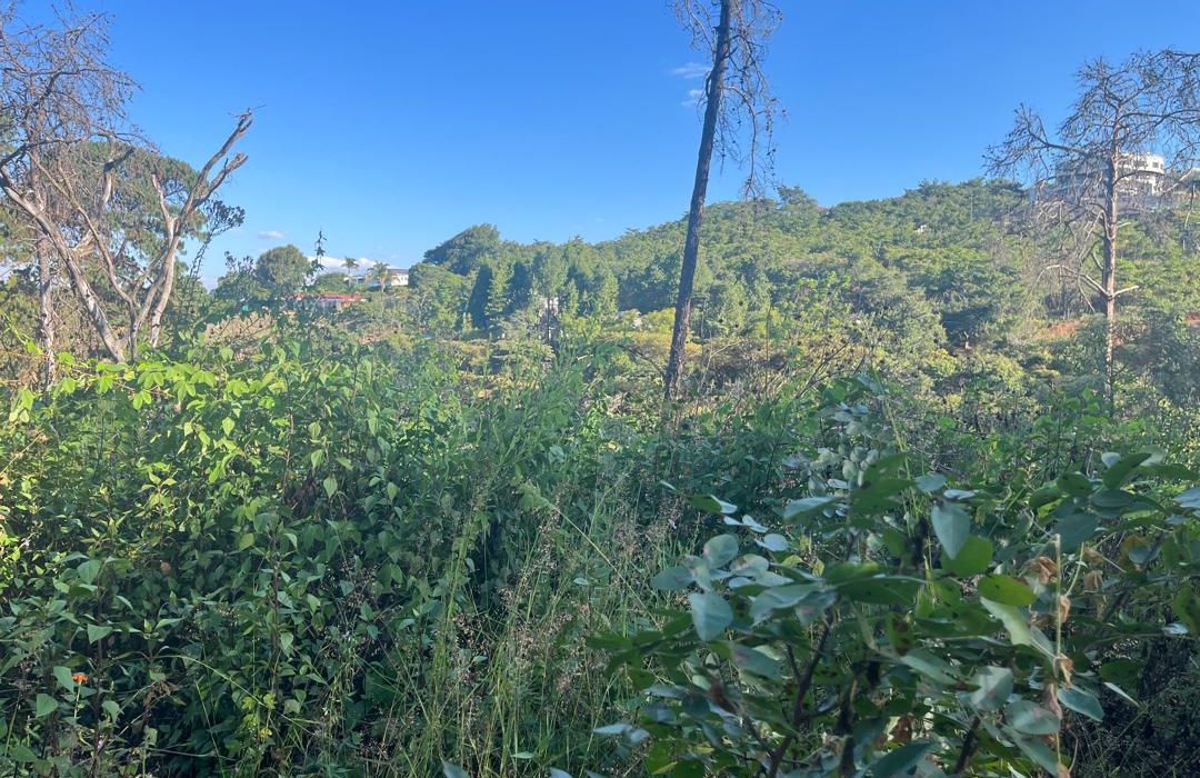 1.5 Hectares Serviced Stand in Brooke Ridge