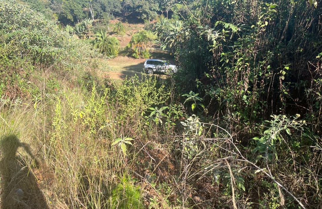 1.5 Hectares Serviced Stand in Brooke Ridge