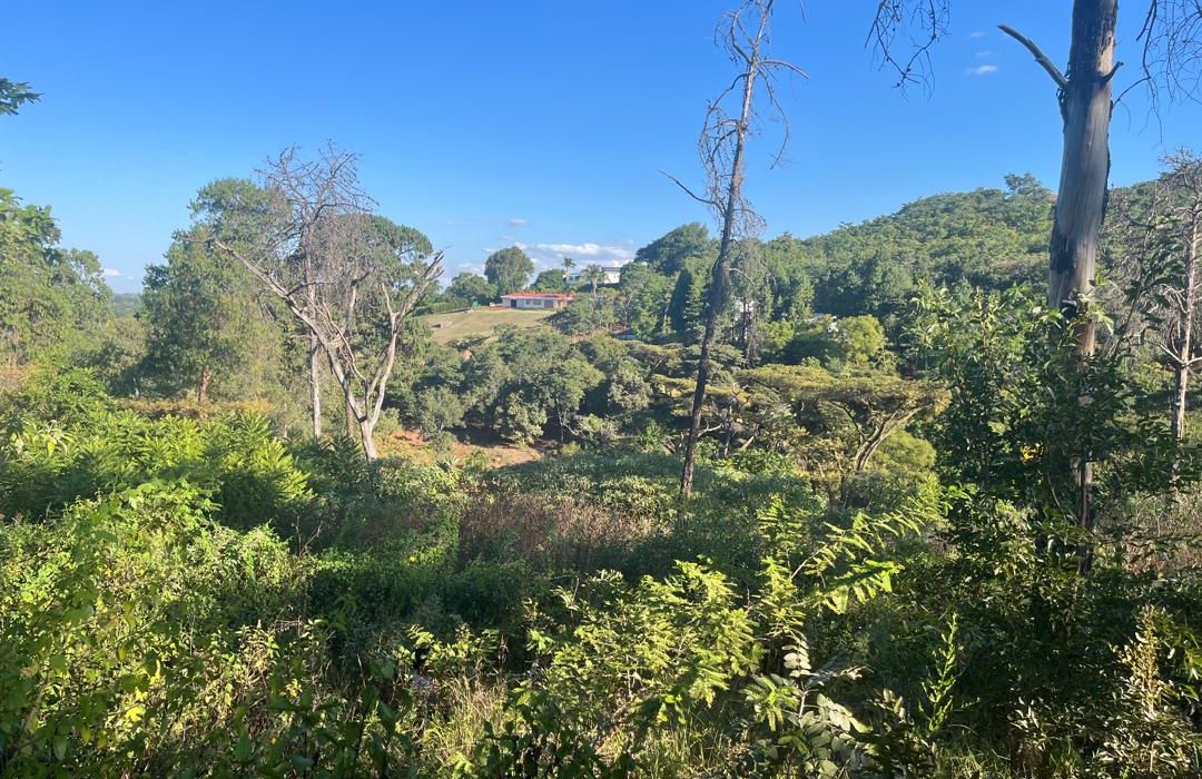 1.5 Hectares Serviced Stand in Brooke Ridge