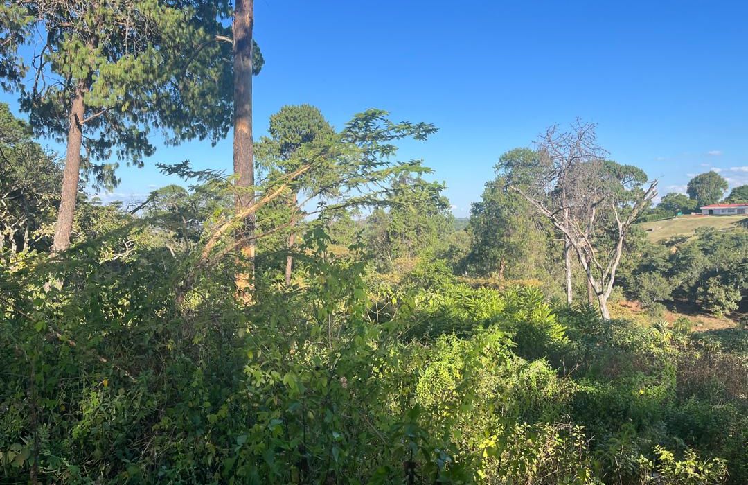 1.5 Hectares Serviced Stand in Brooke Ridge