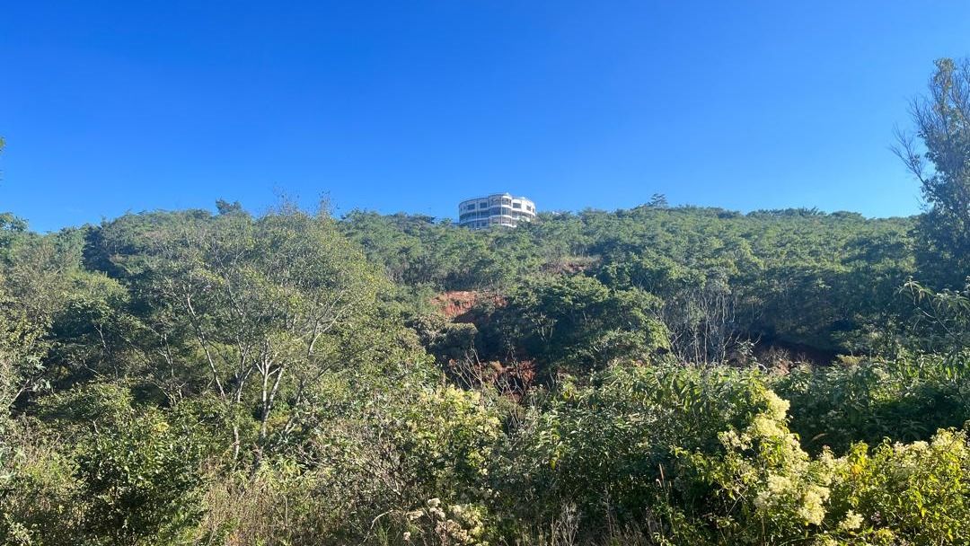1.5 Hectares Serviced Stand in Brooke Ridge