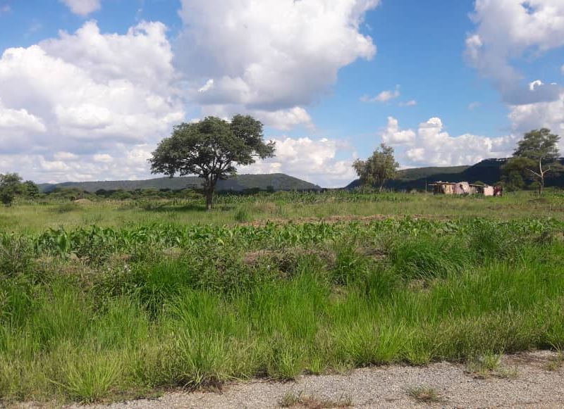 2 Adjacent Stands for Sale in Norton Galloway 