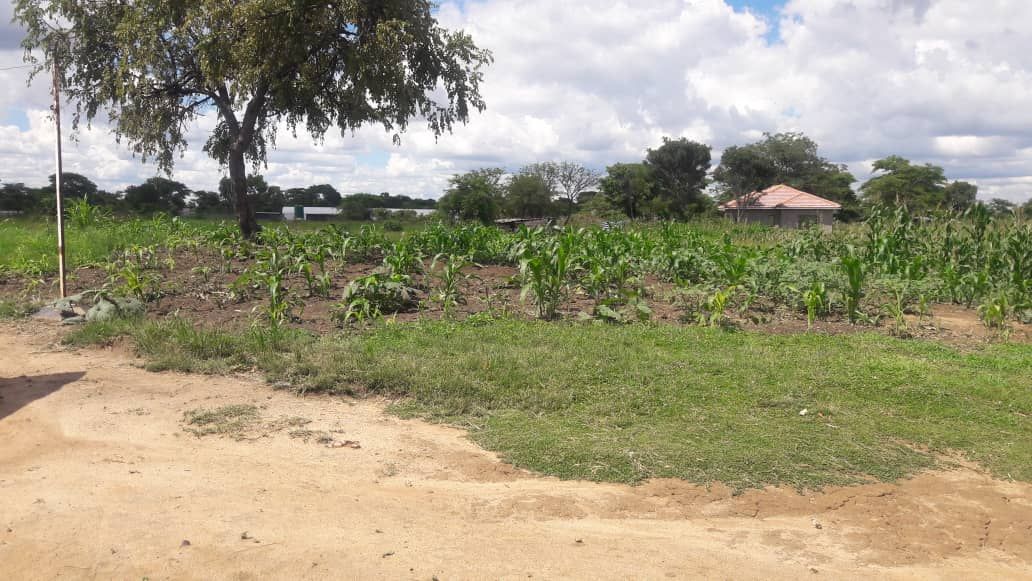 2 Adjacent Stands for Sale in Norton Galloway 