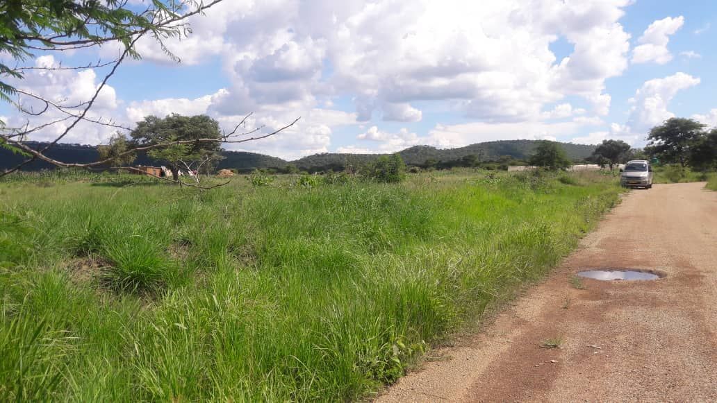 2 Adjacent Stands for Sale in Norton Galloway 