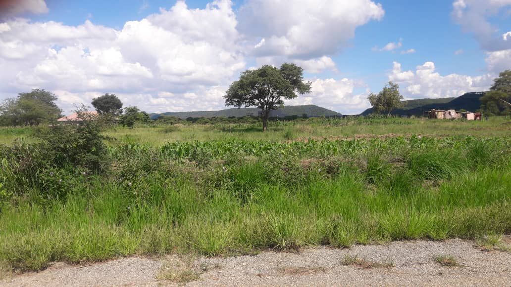 2 Adjacent Stands for Sale in Norton Galloway 