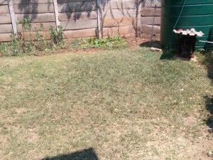 2 bedroom Flat to Rent in Avondale 