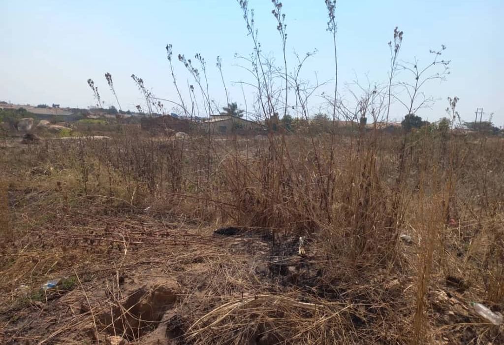 2 Stands for Sale in Ruwa, Riverside 