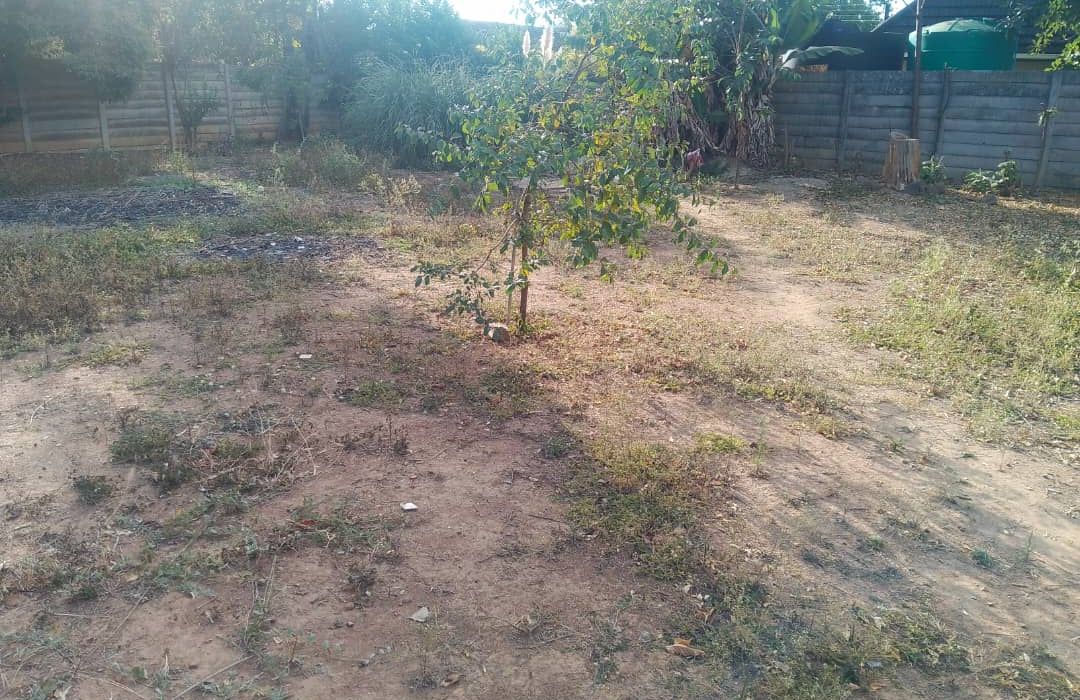 3 Bedroom House for Sale in Avondale