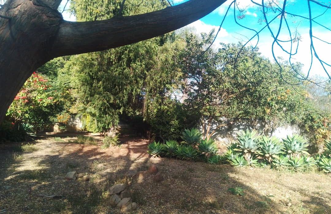 3 Bedroom House for Sale in Avondale