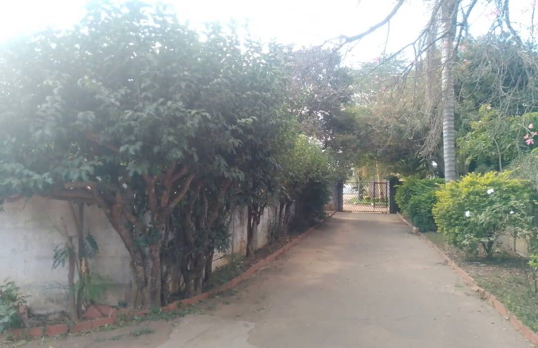 3 Bedroom House for Sale in Avondale