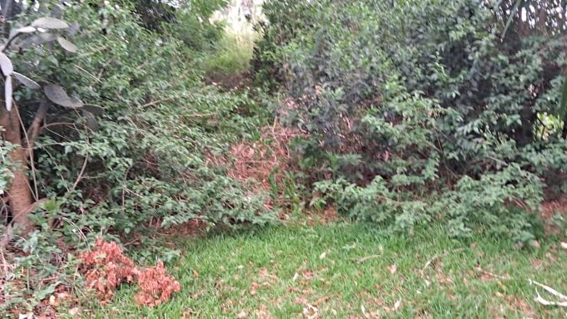 3 Bedroom House for Sale in Meyrick Park 