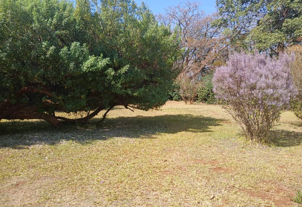 3 Bedroom House for Sale in Old Mount Pleasant, Northwood