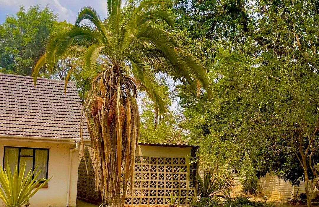 3 Bedroom House in Chadcombe for Rent 