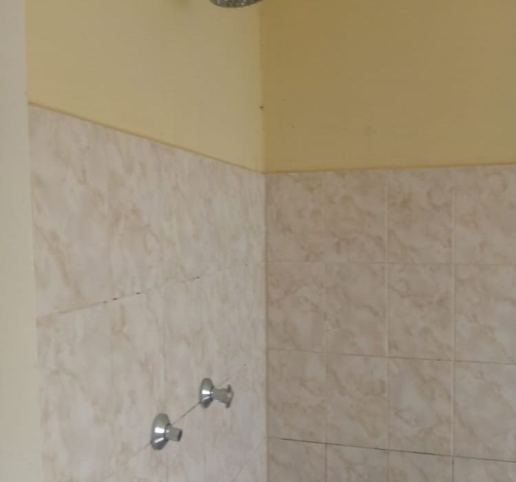 3 bedroom House in Damofalls Phase 2 Pamasa 