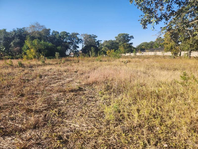 3 Stands for Sale in Philadelphia 