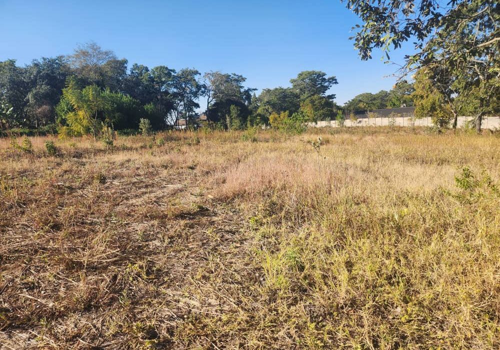 3 Stands for Sale in Philadelphia 