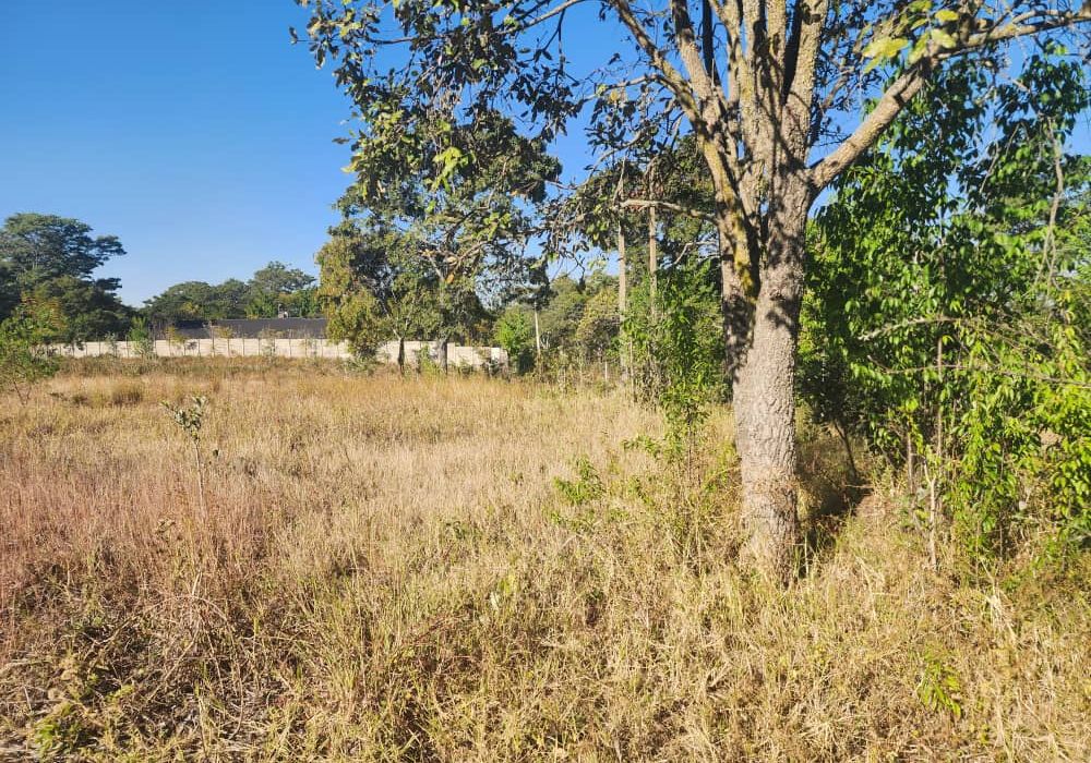 3 Stands for Sale in Philadelphia 