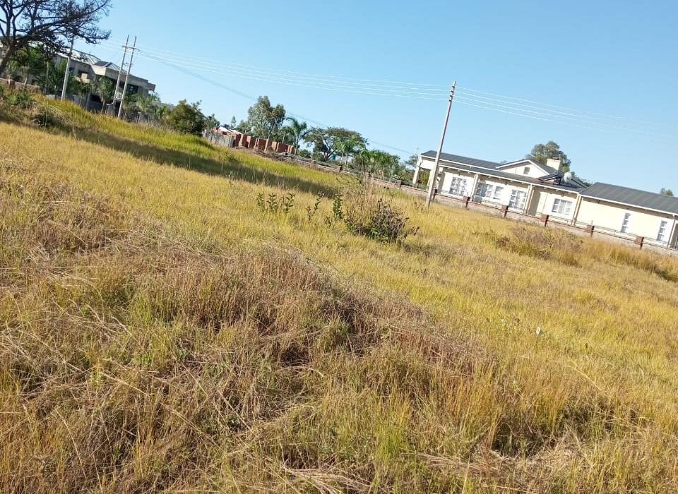 3 Stands in Arlington for Sale 