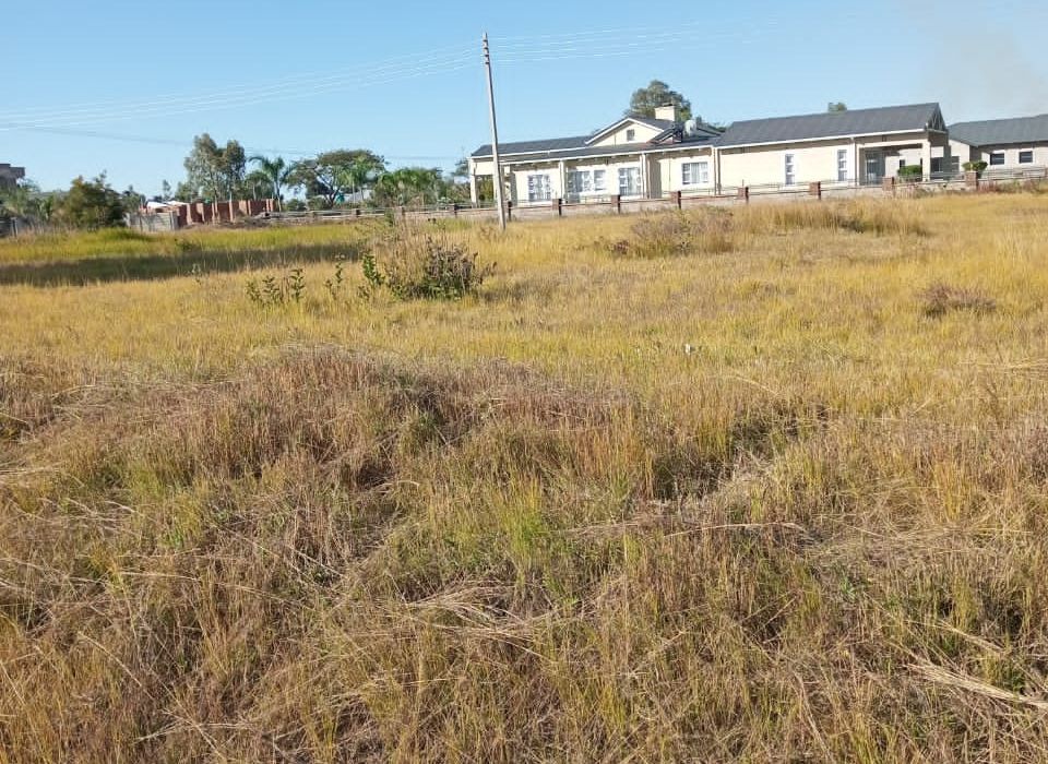 3 Stands in Arlington for Sale 