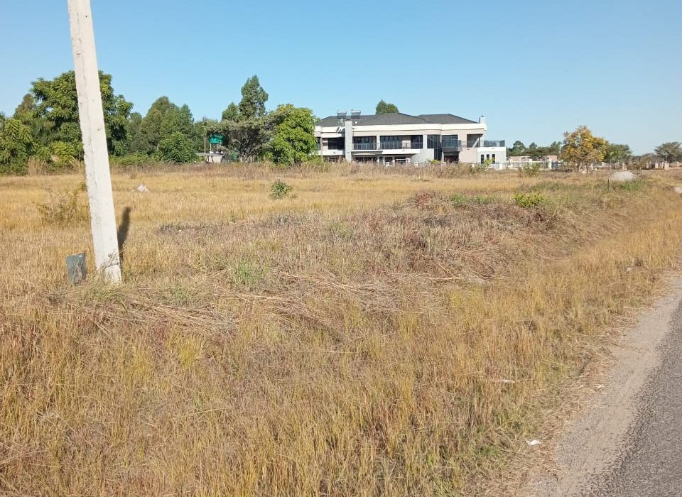 3 Stands in Arlington for Sale 