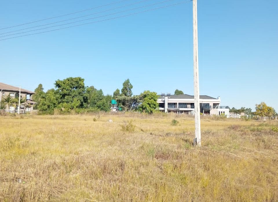 3 Stands in Arlington for Sale 