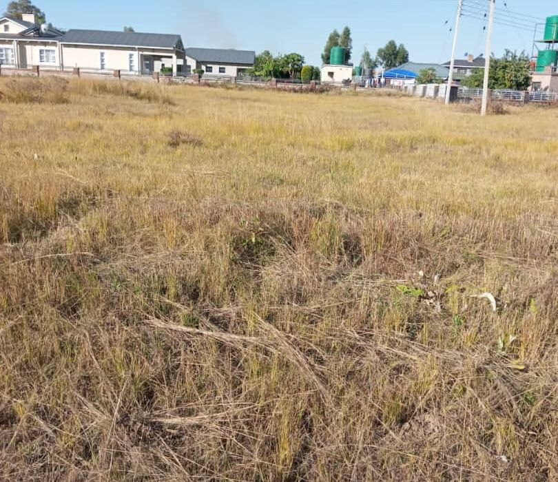 3 Stands in Arlington for Sale 