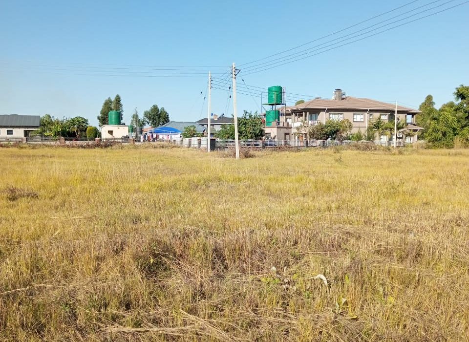 3 Stands in Arlington for Sale 