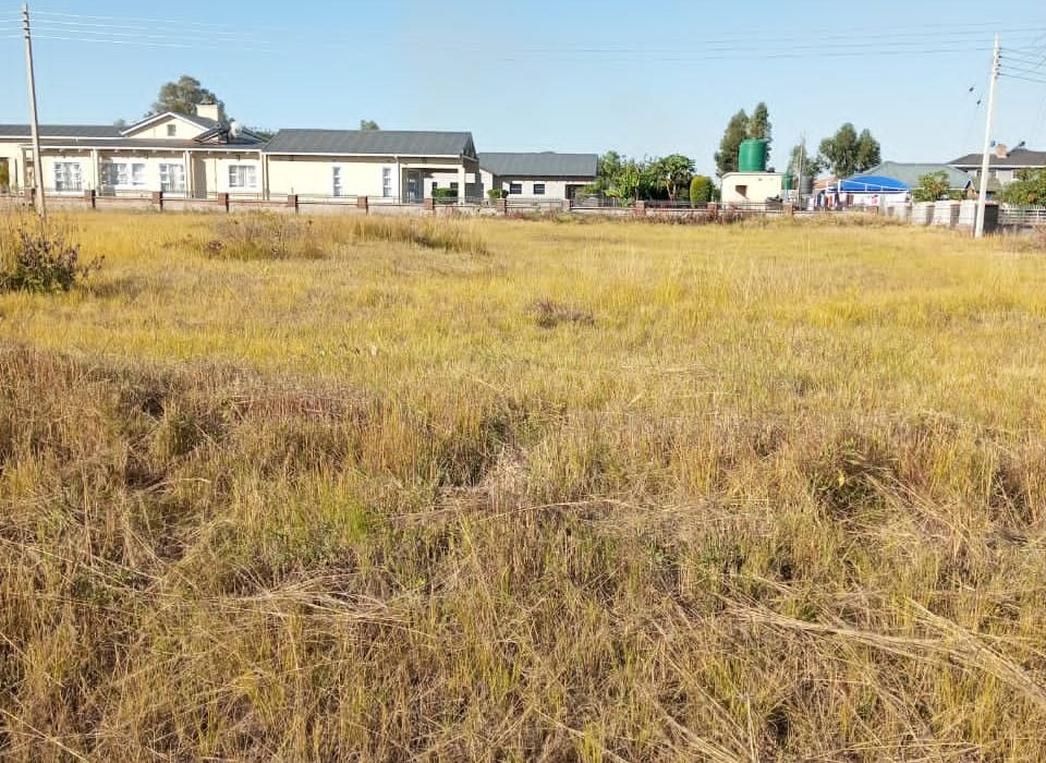 3 Stands in Arlington for Sale 
