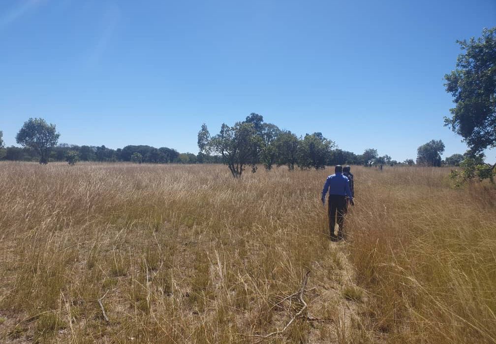 30 Hectare Farm For Sale in Bromley, Mashonaland East