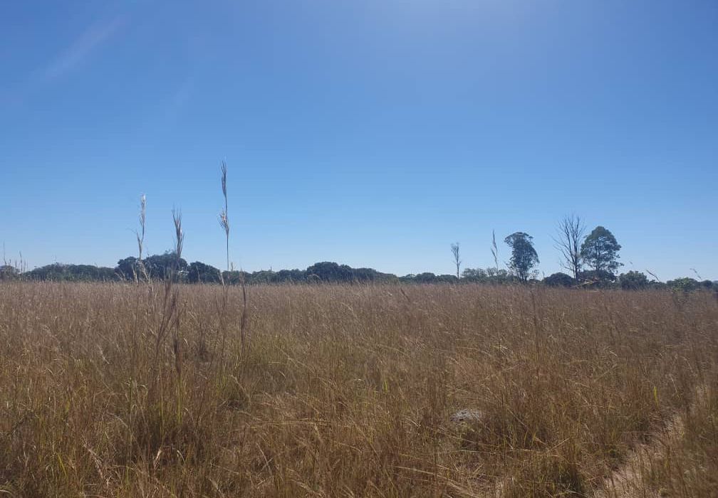 30 Hectare Farm For Sale in Bromley, Mashonaland East