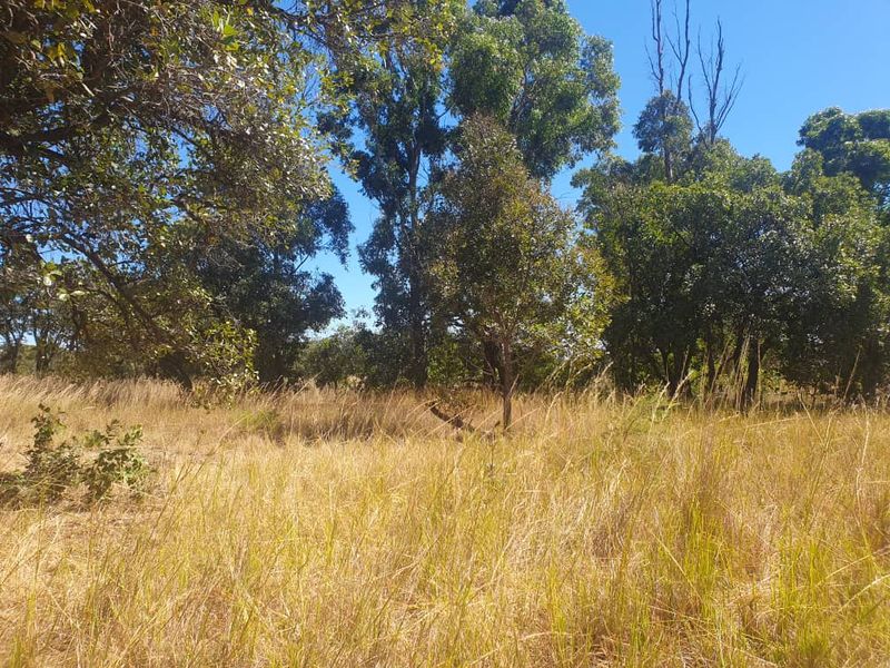 30 Hectare Farm For Sale in Bromley, Mashonaland East