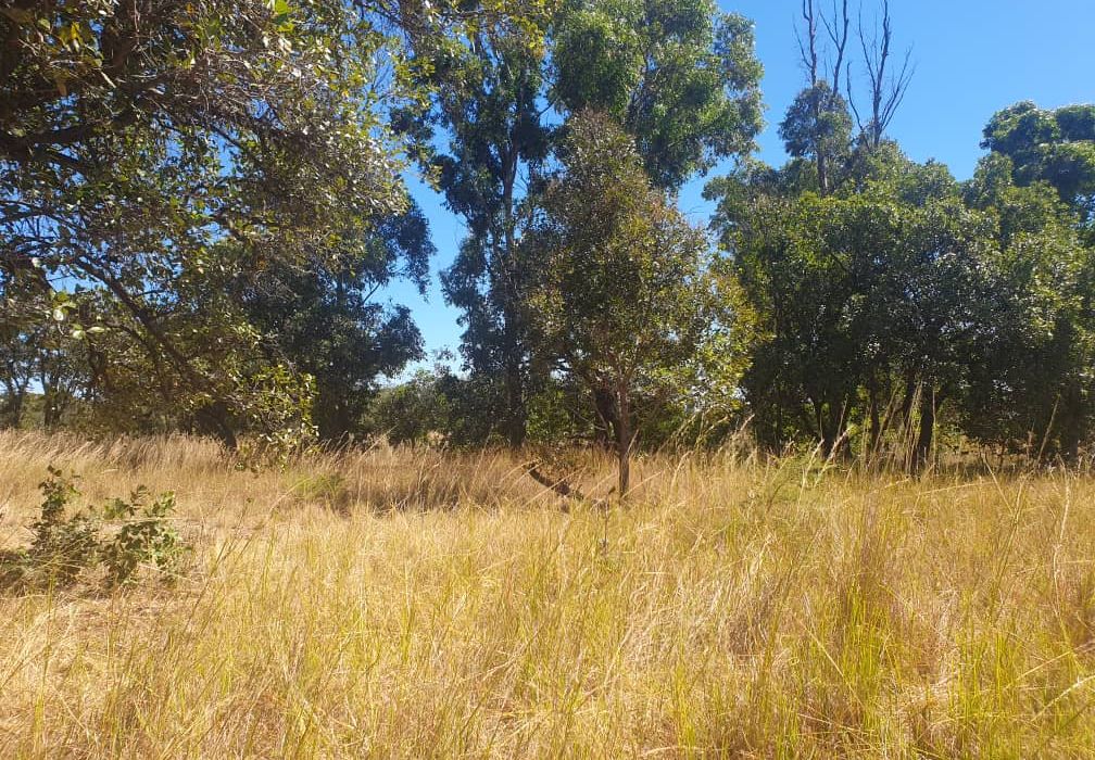 30 Hectare Farm For Sale in Bromley, Mashonaland East