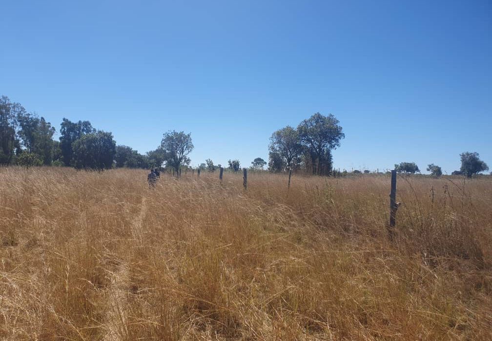 30 Hectare Farm For Sale in Bromley, Mashonaland East