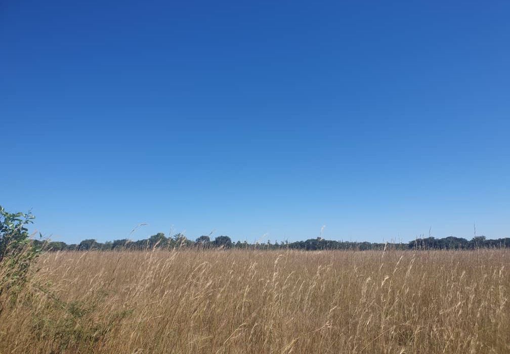 30 Hectare Farm For Sale in Bromley, Mashonaland East
