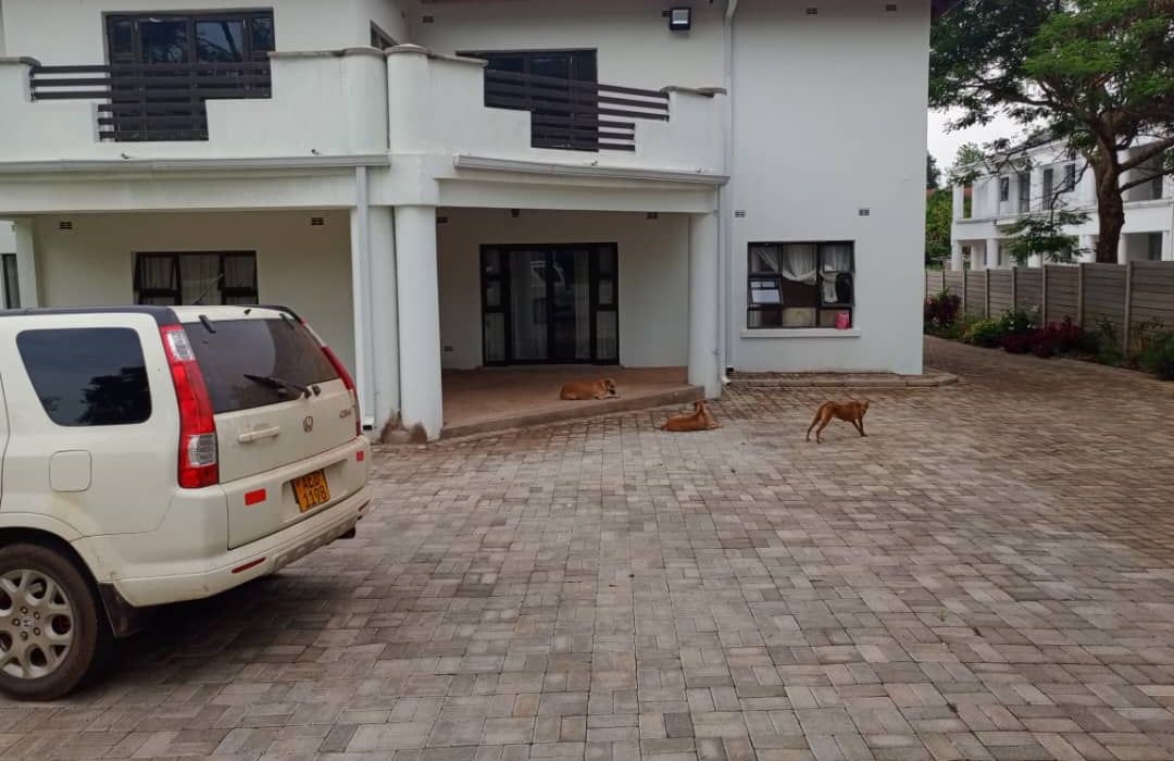 4 Bedroom Double Storey House to Rent in Borrowdale 