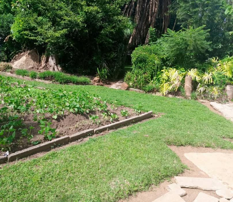 4 Bedroom House for Rent in Borrowdale, Pomona