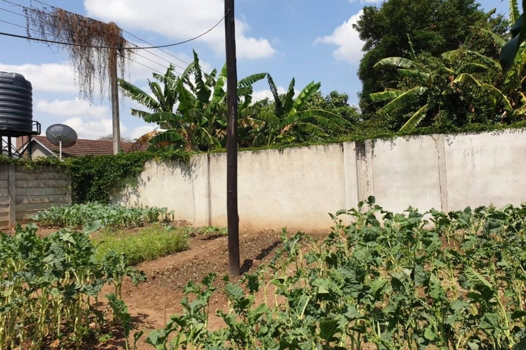 4 Bedroom House for Sale in Avondale Lomagundi Road Frontage