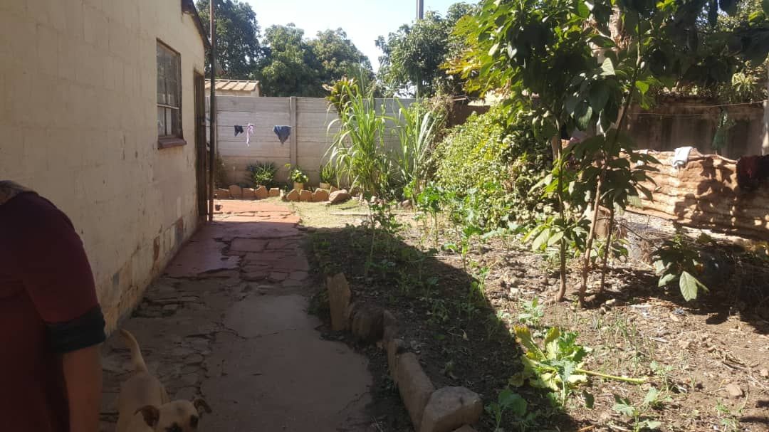 4 Bedroom House for Sale in Dzivarasekwa 