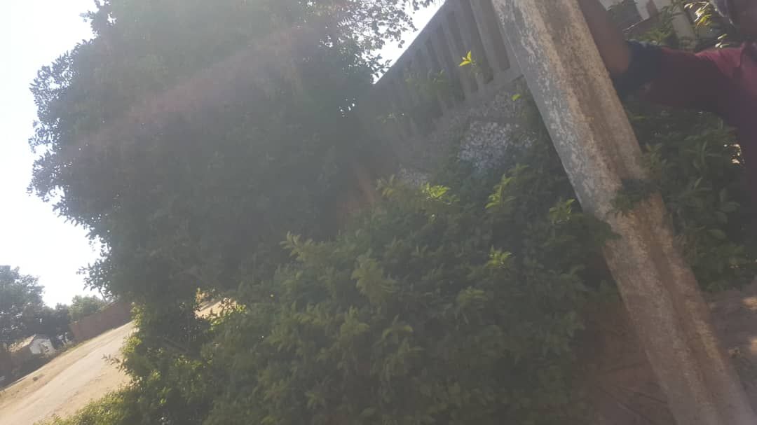 4 Bedroom House for Sale in Dzivarasekwa 
