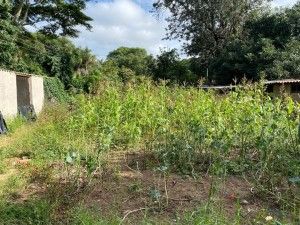 4 Bedroom House for Sale in Greendale