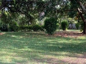 4 Bedroom House for Sale in Greendale