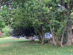4 Bedroom House for Sale in Greendale