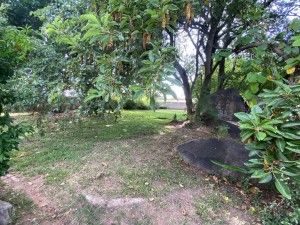 4 Bedroom House for Sale in Greendale