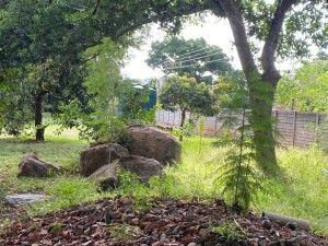 4 Bedroom House for Sale in Greendale