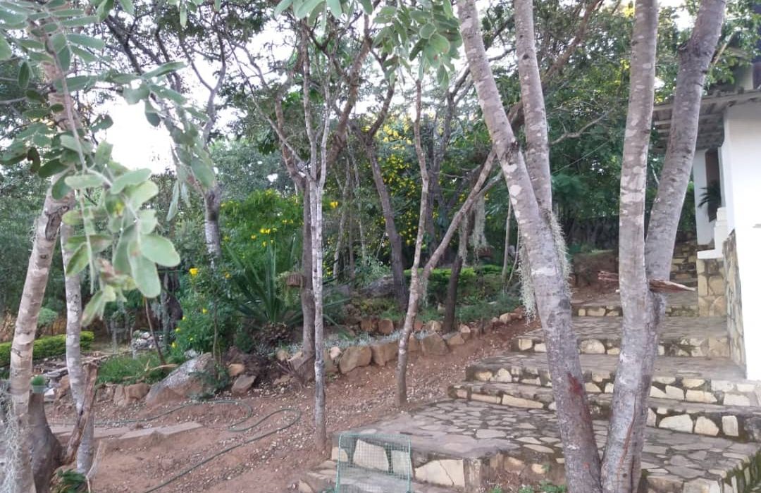 4 Bedroom House in Christonbank for Sale 