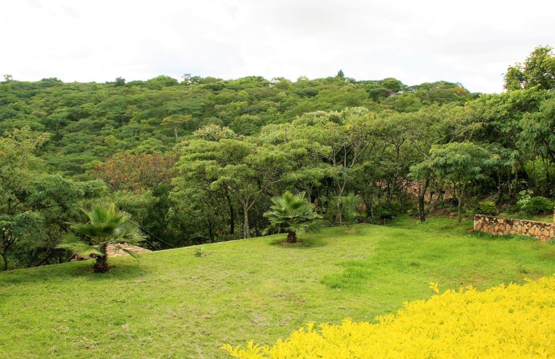 4 Bedroom House in Christonbank for Sale 
