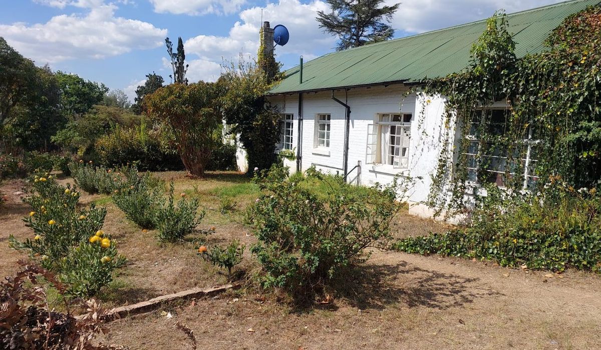 4 Bedroom Residential Plot for Sale in Nyanga 