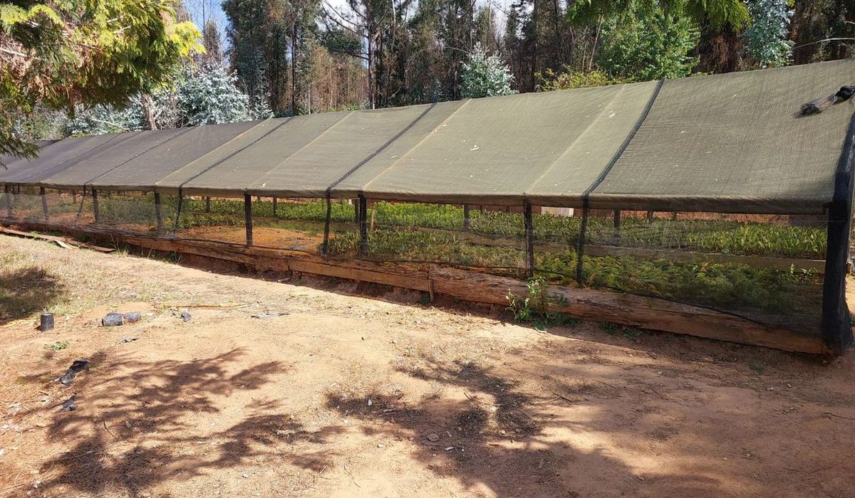 4 Bedroom Residential Plot for Sale in Nyanga 