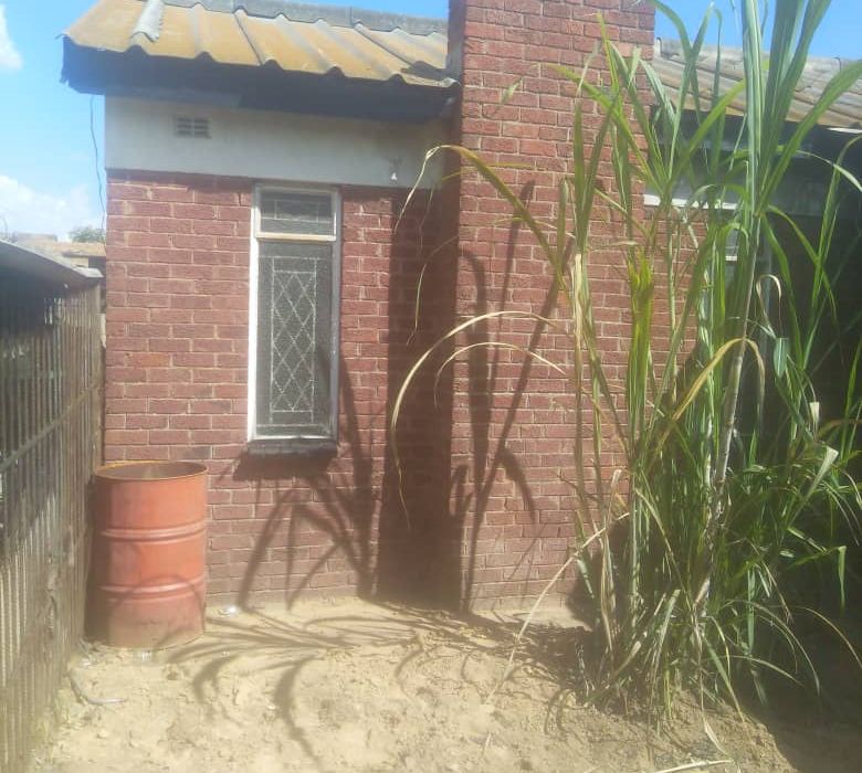 5 beds for sale in Budiriro 2