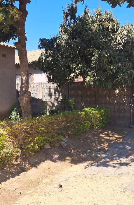 6 Bedroom House in Budiriro 1 for Sale 